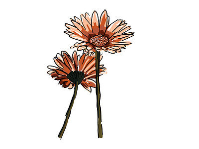 Flower flower flower illustration illustration photoshop print simple