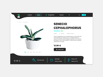 Temple Plant Web Design design ui web