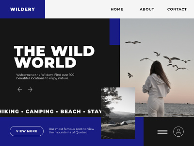 Wildery Nature Reserve UI Website Design blue branding bold brutalism modern ui ux web design website