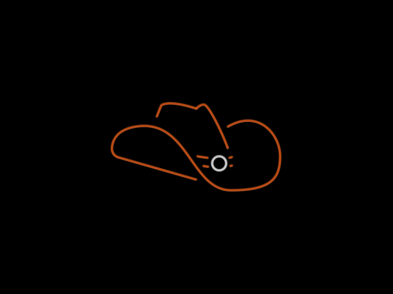 Neon Hat cowboy hat icon illustration neon sxsw texas