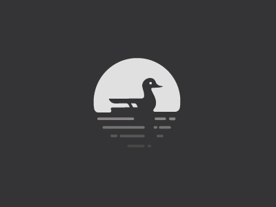 Duck duck glare grayscale monochromatic sunset water