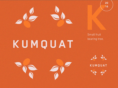 Kumquat fruit kumquat layout leaves orange