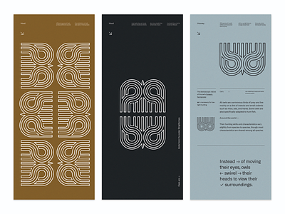 layout and branding exploration