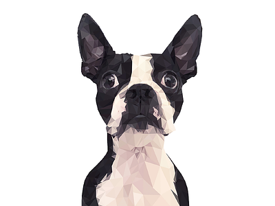 Poly boston terrier dog geometric illustration illustrator pekka poly poly illustration polygons