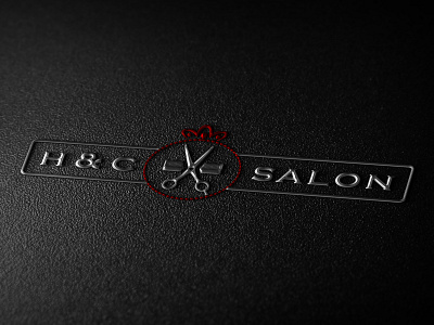 Logo Design Ideas foe Salon