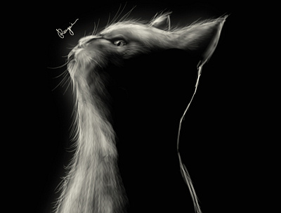 silhouette cat art blackandwhite cat creative design digital artist digital artwork digital illustration digital painting digitalart fur illustration silhoutte
