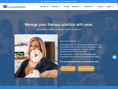 therapyappointment branding ecommerce ecommerce design hubspot website website design wordpress design wordpress development