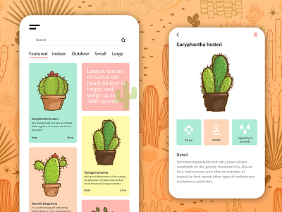 Looking sharp app cacti cactus concept design design app flower graphics interface minimal mobile pastel color plants ui ux vector