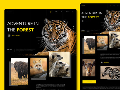 Gold Safari - Adventure in the forest adventure animal branding color theme design flat design forest minimal minimalist typography ui ux web design webpage website