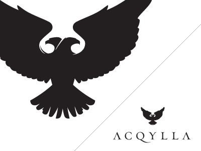 Acqylla logo branding eagle identity pr