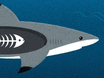 Vancouver Aquarium - ‘The Secret World of Sharks & Rays’ advertising aquarium art design illustration newspaper rays sea sealife shark sharks vancouver water