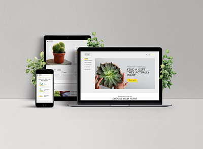 8H Studio design ecommerce mobile ui photography plant plants quiz ui ux web web design