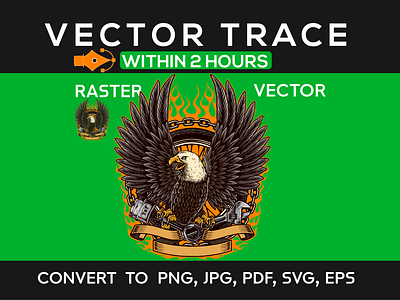 Manual vector tracing, raster to vector conversion within 2 hrs