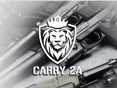 CARRY 2A