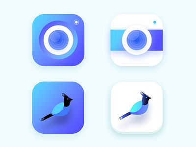 Insta Like App ( 2016 unused icons part 2 ) app bird blue camera feed insta instagram ios lens photo profile user