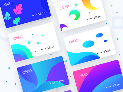 Pleo Virtual Cards Exploration 2