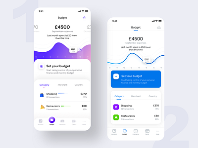 Budget setup Home (Version 1 + 2) account app cards country credit debit design graph icon illustration logo money neel prakhar preferences settings sharma sketch ui vector