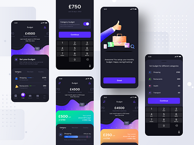 Budget setup all screens (Version 1) Dark version app apple budget dark dark mode food graph illustration ios lightday money neel night prakhar savings sharma shopping trending ui wallet