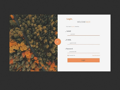 Log in design illustration log in typography ui uiux ux web website