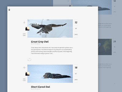 Photo Blog blog layout owl photo photography template web