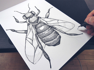 Bee bee bee illustration bee logo brand character custom illustration drawing handmade handmade logo illustration inked paper pen process sketch spovv