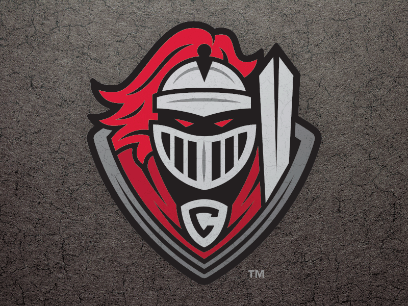 Sports Team Logo Package branding identity illustration knight logo school sports sword team type