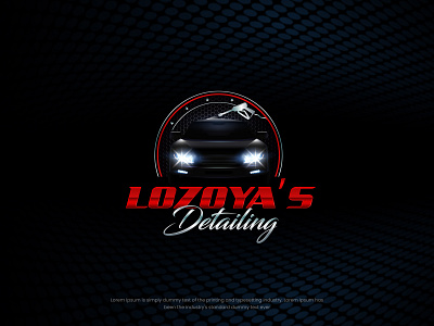 Lozoya's Detailing