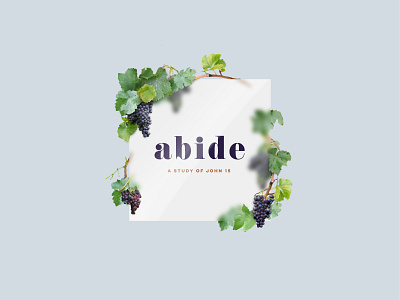 Abide abide christian design grape sermon vines