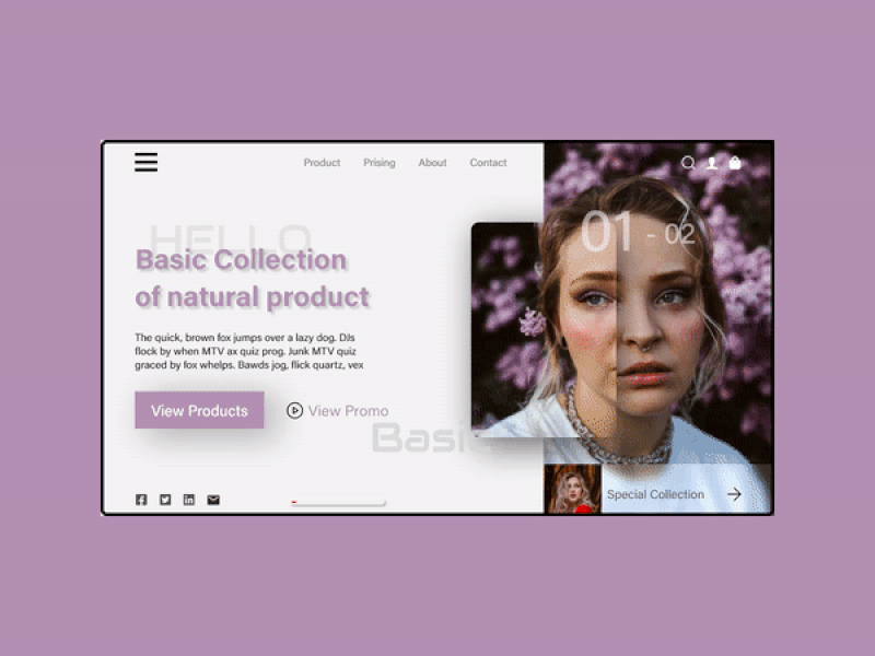 Natural Care Website Design (Animation)