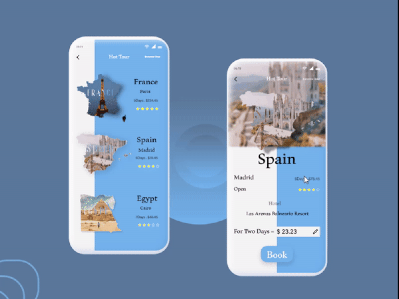 Travel App Design (Animation Design)