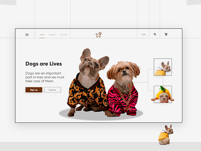 Dog Website Design adobexd animation app design dog figma free interaction interaction design prototype ui design uidesign uiux user experience user interface design userinterface uxdesign uxui webdesign website