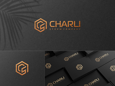 CHARLY STORM COMPANY branding corporate design grid illustration initial initial logo logo monogram monogramlogo