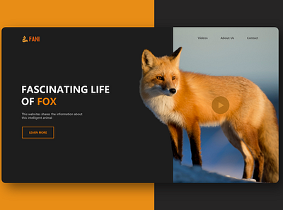 Web Design on Fox adobe xd prototype ui ux web design website