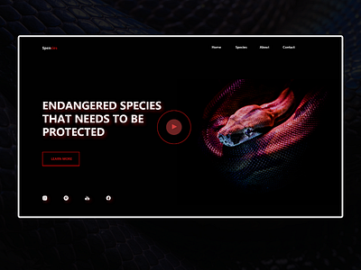 Species adobe xd branding design graphic design prototype ui ux web design website