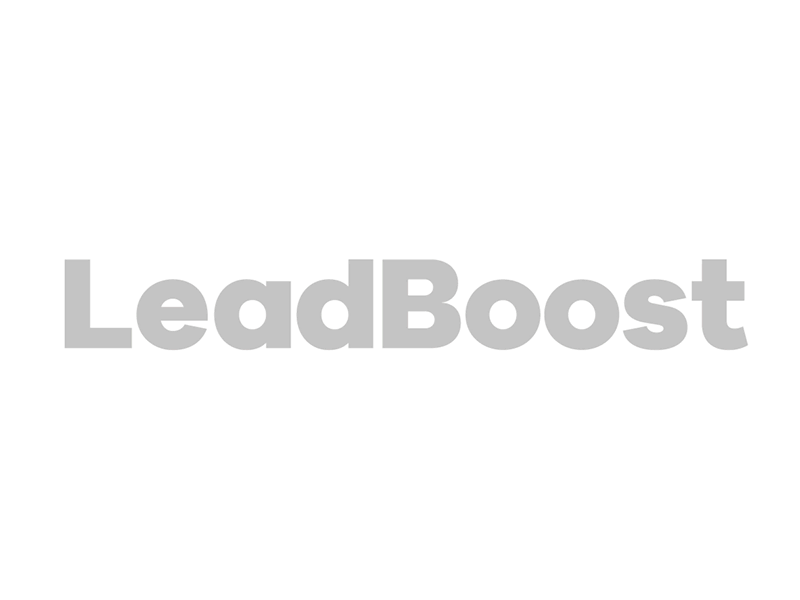 Leadboost Brand Identity // Type Adjustments