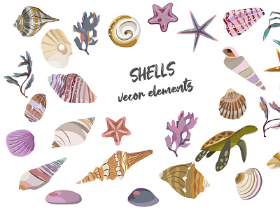 Shells beach holiday illustration sea sketch vector