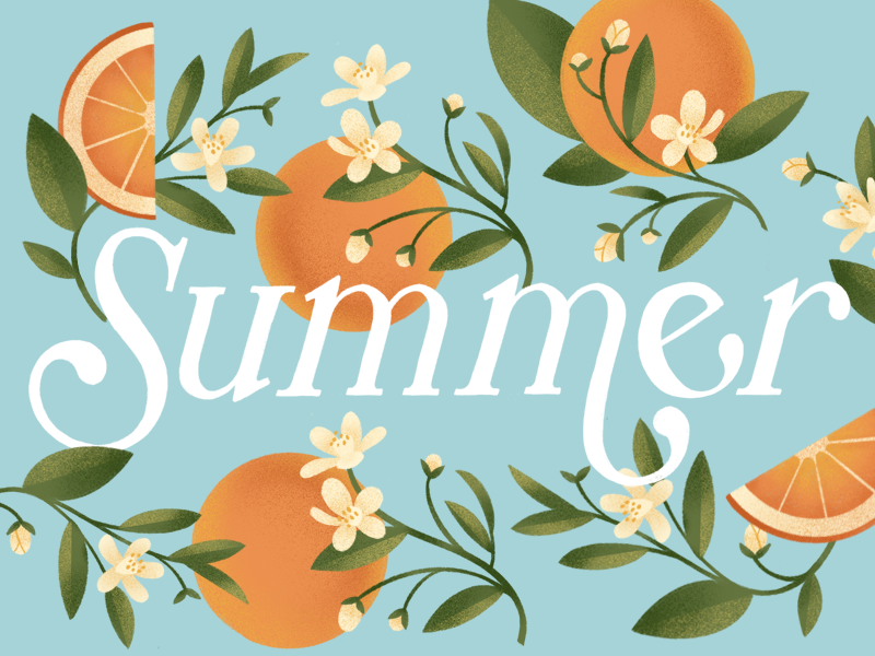 Summer Orange Lettering serif leaves fruit handwritten type floral flower orange summer design type procreate typography lettering illustration