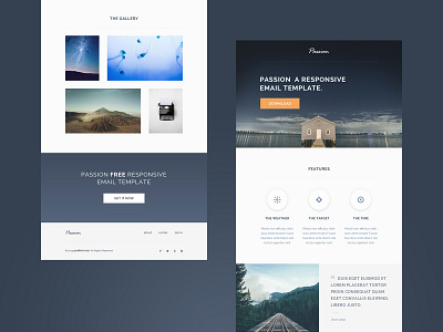 Responsive HTML Email Template - freebie