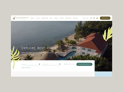 Belize Resort Website Layout clean hotel layout modern ui web design website website concept