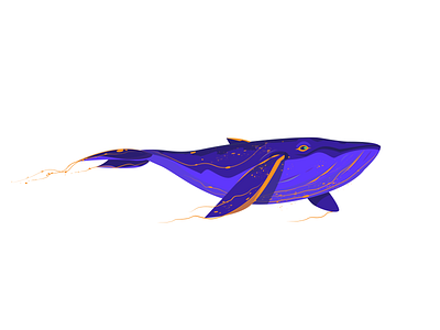 Purple Whale art block five blockfive colourful design dribbble dribbbleshot illustration purple vector whale