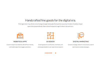 Services Intro for the Homepage clean icons interface minimal orange portfolio ui ux wordpress