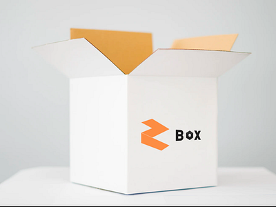 Mock Up for Z box branding design flat logo vector