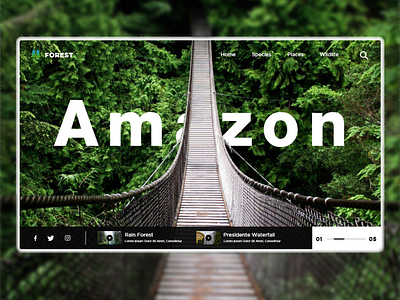 Amazon Website Design amazon branding dailyui design forest forestry minimalism rainforest ui uiux ux website