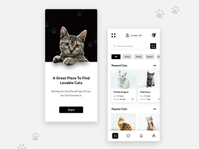 Cat Mobile App UI/UX Design adoption black theme cat cats dailyui design mobile app pets typography ui ui design ux