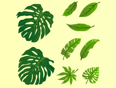 Leaf Vector Pack elements flat illustration illustrator minimal type vector pack