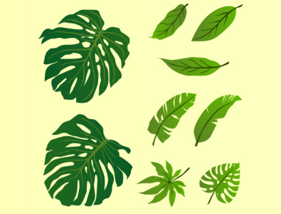 Leaf Vector Pack