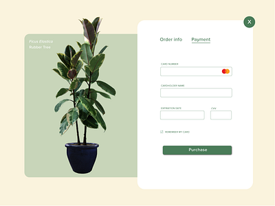 Daily UI Challenge 002 - Credit Card Checkout Page (Web)