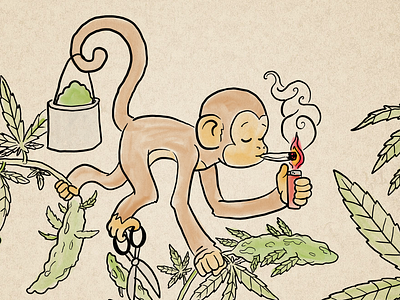 Fire Monkey 2d cannabis cartoon character design cute illustration marijuana monkey weed year of the monkey