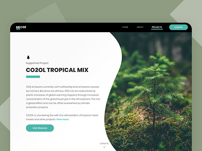 Landing Page Design Draft 2 - Co2 Compensation