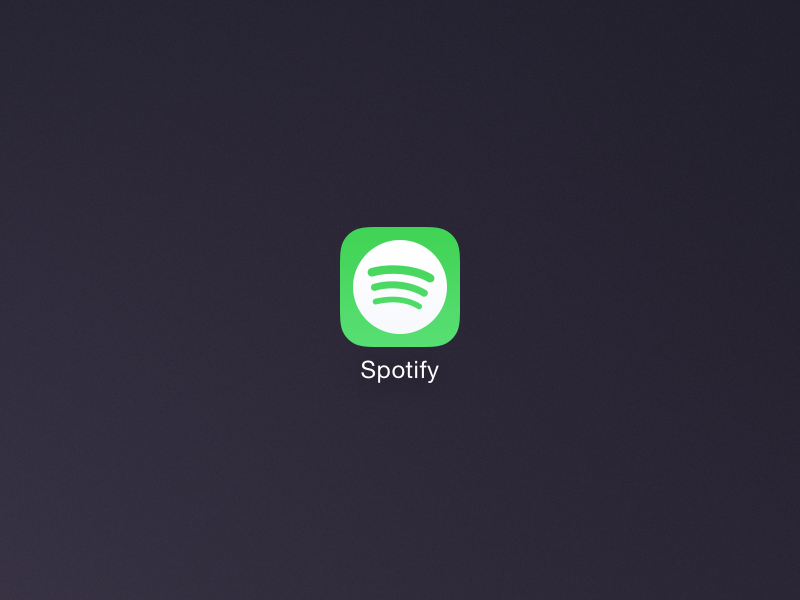 iconx spotify offline